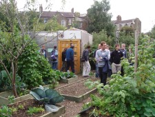 Allotments at a community compost site