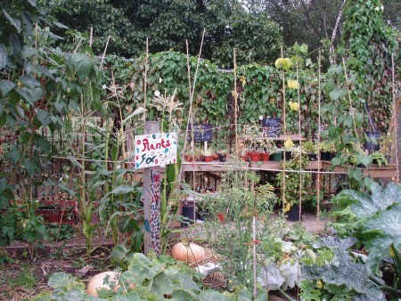 Community garden at composting project